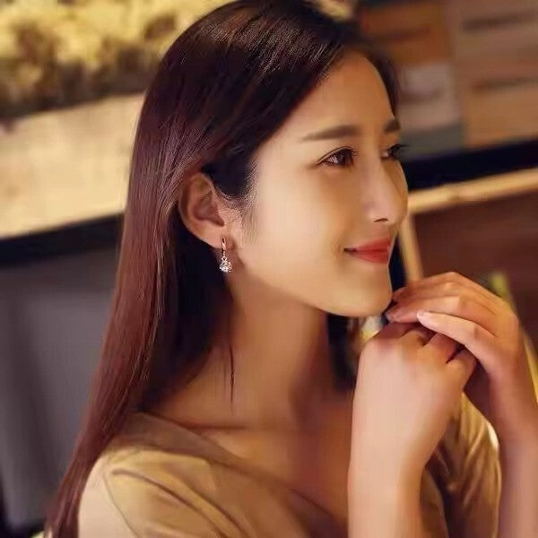 Damen Luxus Ohrringe 925 Sterling Silber Hypoallergene Ohrringe OHRSCHMUCK2