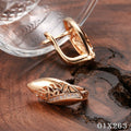 Damen Ohrringe Rosé Gold 585RG MicroIntarsien Natürlich Zirkon Schmuck Geschenk0